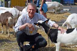 7 de geiten en schapenmarkt te Eernegem 28 juni 2009